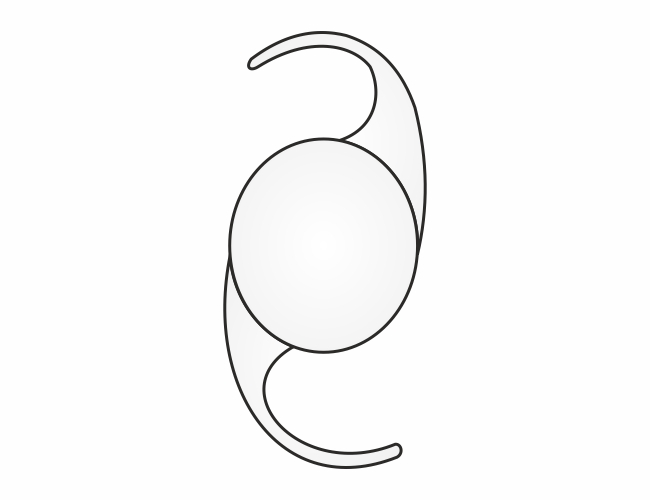 HCL1125606CRA-Hydrophilic IOL
