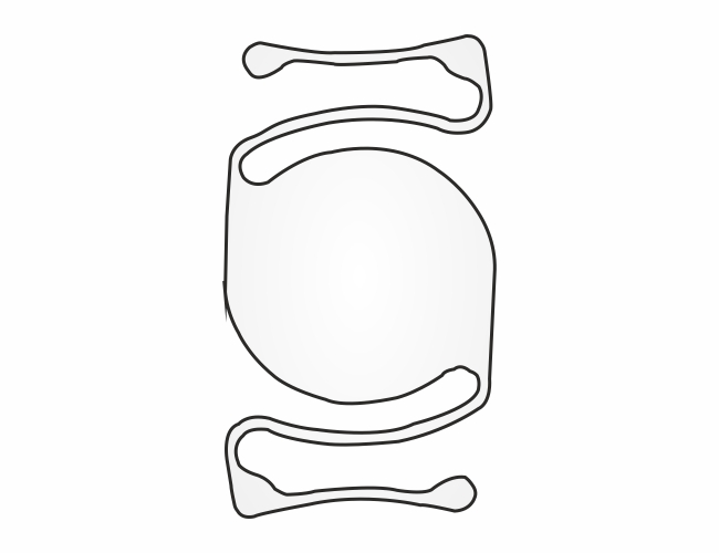 PAC12560CRN-PMMA IOL