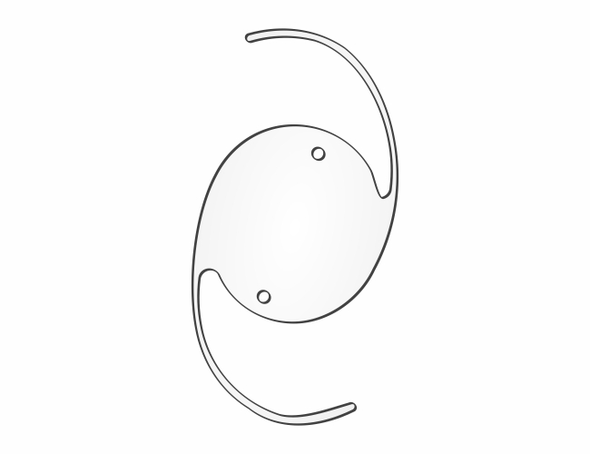 PCC12560CRO-PMMA IOL