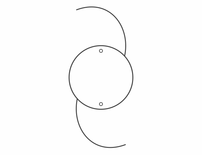 PJ313565CRO-PMMA IOL